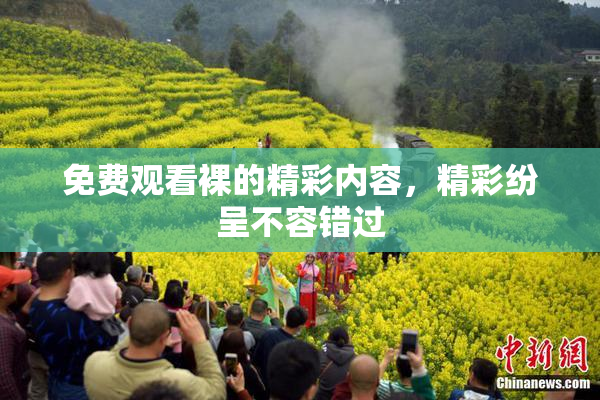 免费观看裸的精彩内容，精彩纷呈不容错过