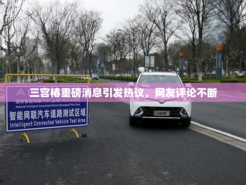 三宫椿重磅消息引发热议，网友评论不断