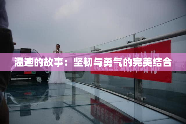 温迪的故事：坚韧与勇气的完美结合