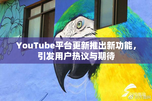 YouTube平台更新推出新功能，引发用户热议与期待