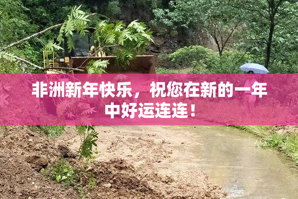 非洲新年快乐，祝您在新的一年中好运连连！
