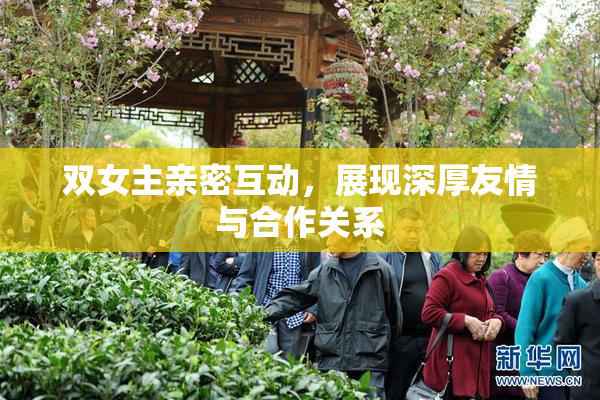 双女主亲密互动，展现深厚友情与合作关系