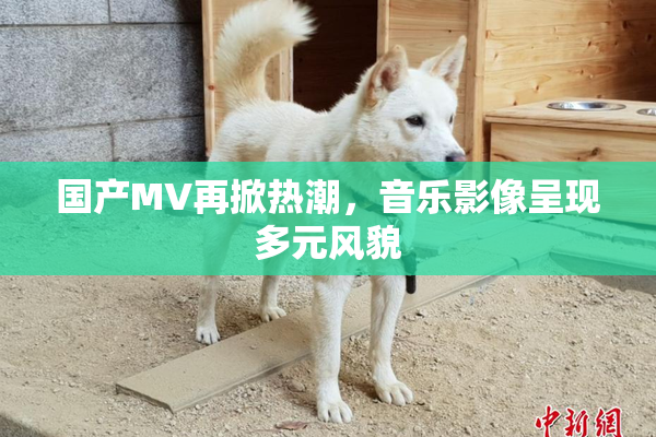 国产MV再掀热潮，音乐影像呈现多元风貌