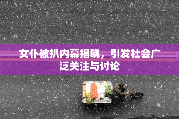 女仆被扒内幕揭晓，引发社会广泛关注与讨论