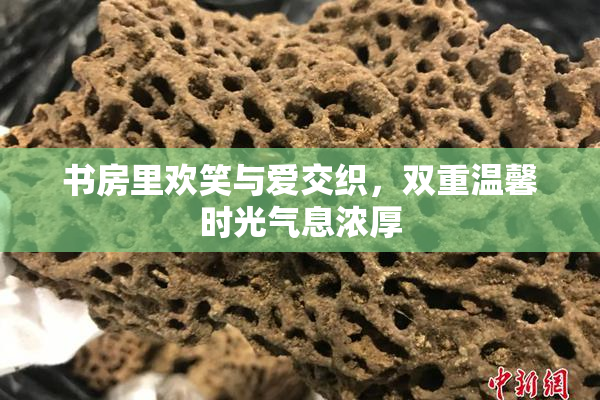 书房里欢笑与爱交织，双重温馨时光气息浓厚