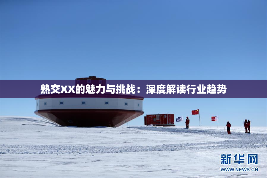 熟交XX的魅力与挑战：深度解读行业趋势
