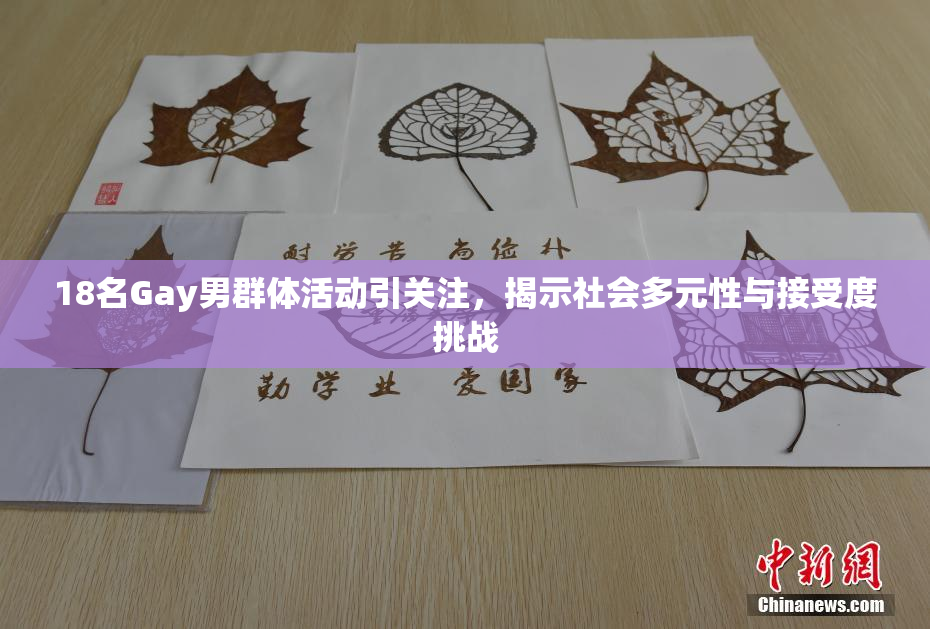 18名Gay男群体活动引关注，揭示社会多元性与接受度挑战