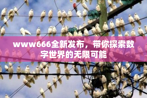 www666全新发布，带你探索数字世界的无限可能