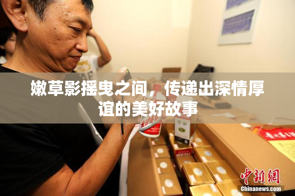 嫩草影摇曳之间，传递出深情厚谊的美好故事