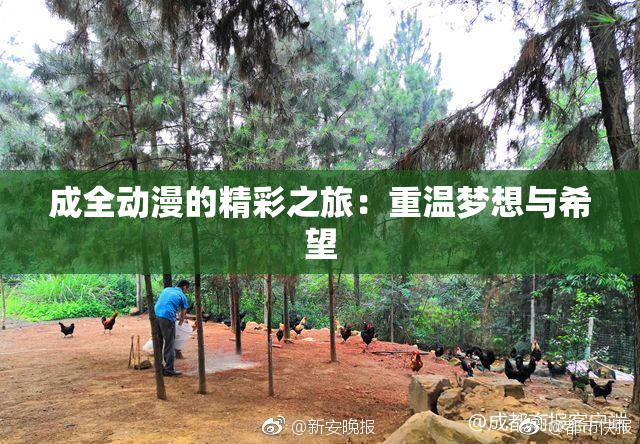 成全动漫的精彩之旅：重温梦想与希望