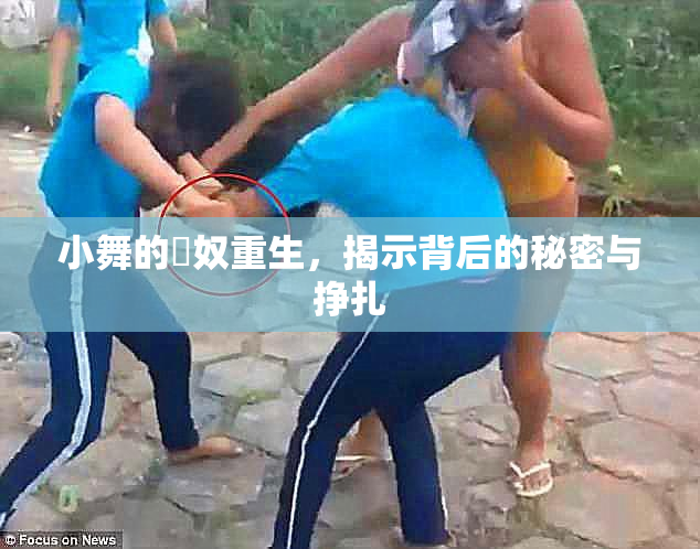 小舞的婬奴重生，揭示背后的秘密与挣扎