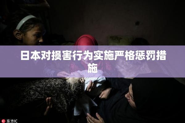 日本对损害行为实施严格惩罚措施