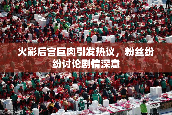 火影后宫巨肉引发热议，粉丝纷纷讨论剧情深意