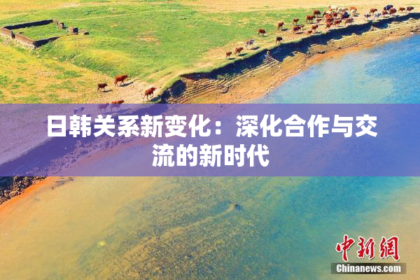 日韩关系新变化：深化合作与交流的新时代