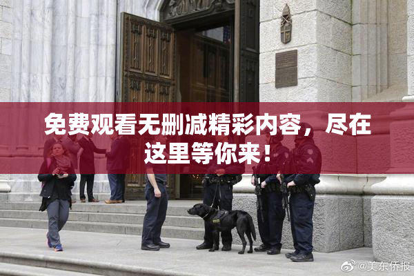 免费观看无删减精彩内容，尽在这里等你来！