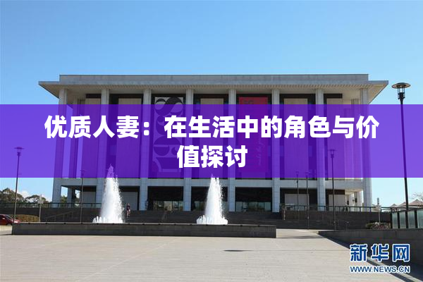 优质人妻：在生活中的角色与价值探讨