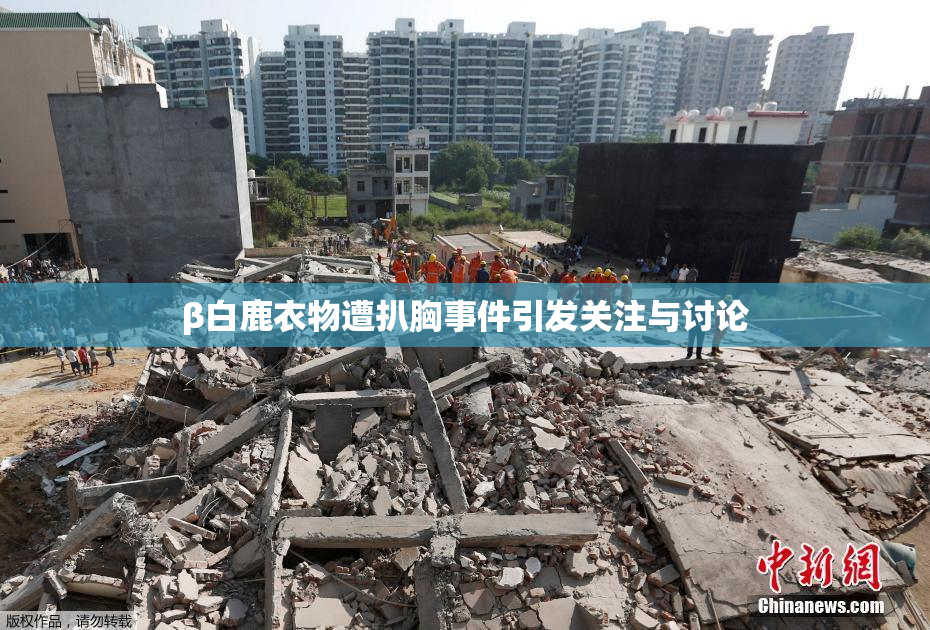 β白鹿衣物遭扒胸事件引发关注与讨论