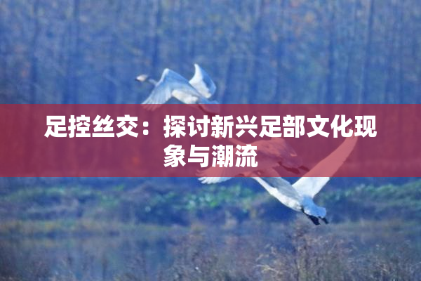 足控丝交：探讨新兴足部文化现象与潮流