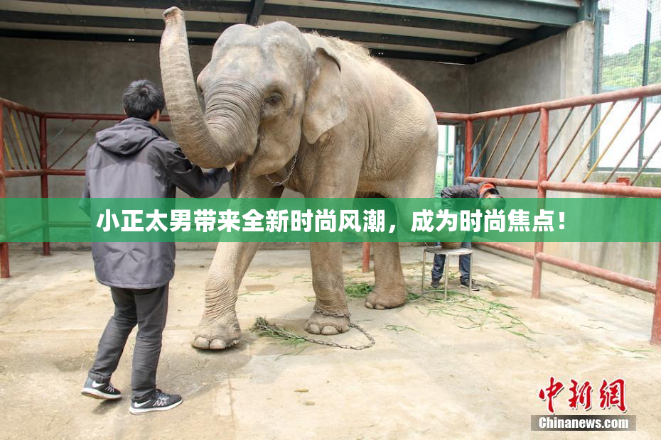 小正太男带来全新时尚风潮，成为时尚焦点！
