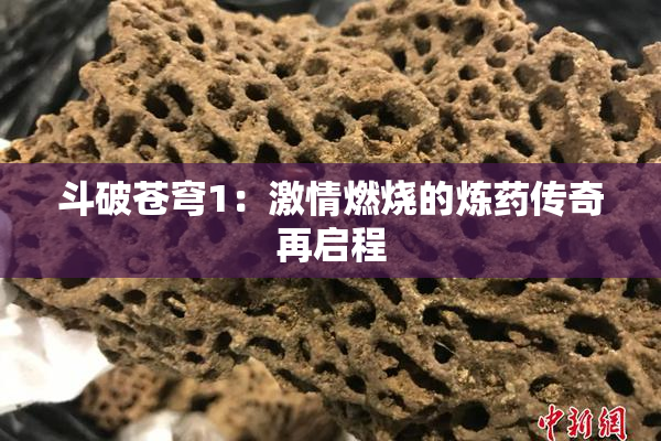 斗破苍穹1：激情燃烧的炼药传奇再启程