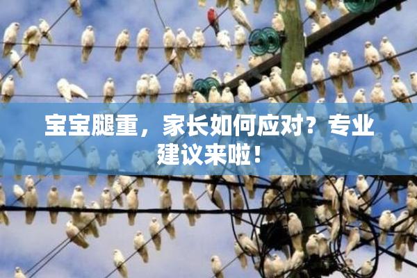 宝宝腿重，家长如何应对？专业建议来啦！