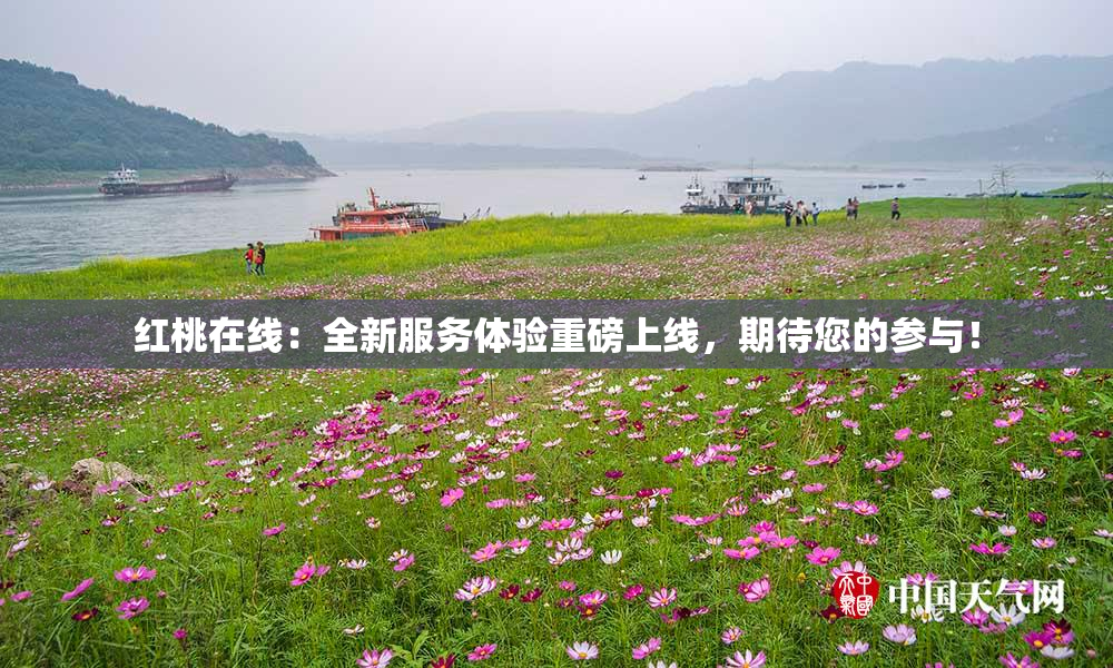 红桃在线：全新服务体验重磅上线，期待您的参与！