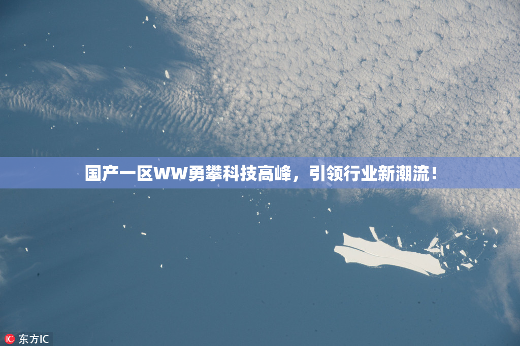 国产一区WW勇攀科技高峰，引领行业新潮流！