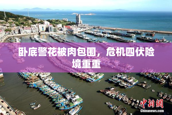 卧底警花被肉包围，危机四伏险境重重
