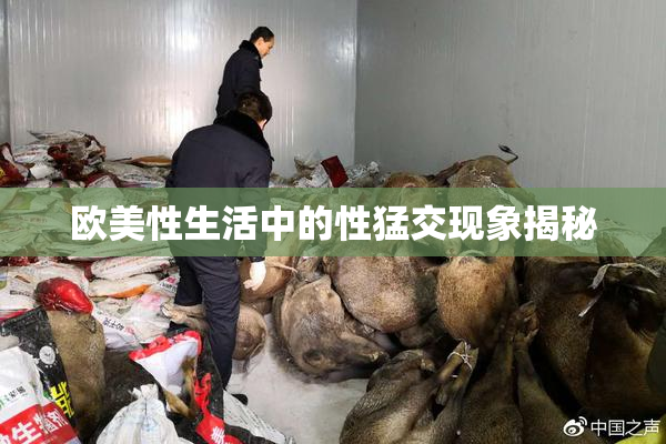 欧美性生活中的性猛交现象揭秘