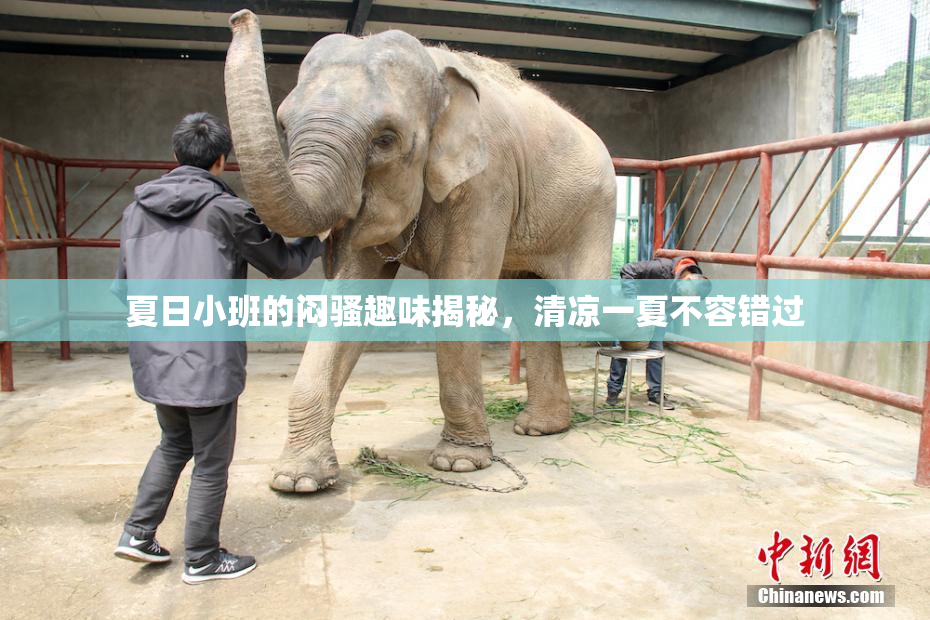 夏日小班的闷骚趣味揭秘，清凉一夏不容错过