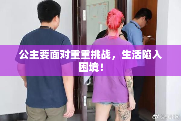 公主要面对重重挑战，生活陷入困境！