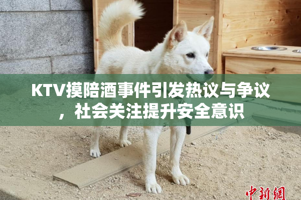 KTV摸陪酒事件引发热议与争议，社会关注提升安全意识