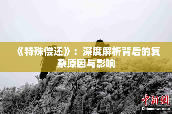 《特殊偿还》：深度解析背后的复杂原因与影响