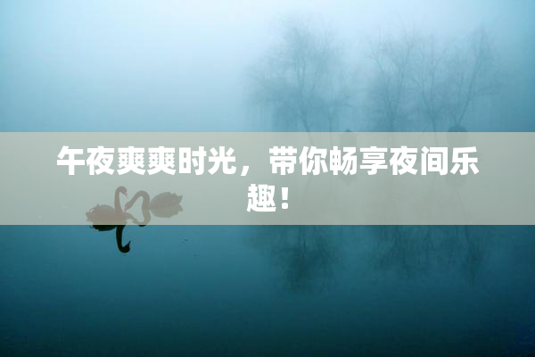 午夜爽爽时光，带你畅享夜间乐趣！