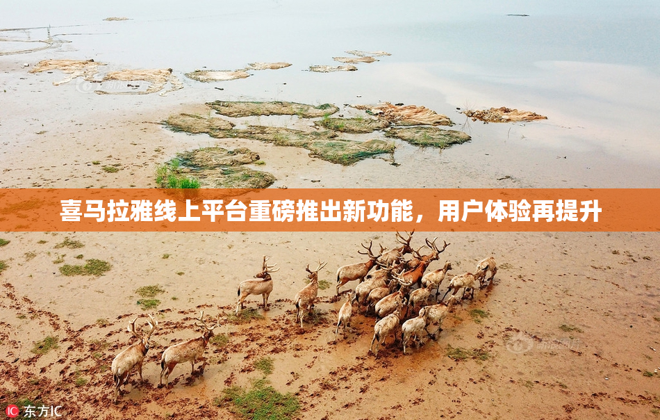 喜马拉雅线上平台重磅推出新功能，用户体验再提升