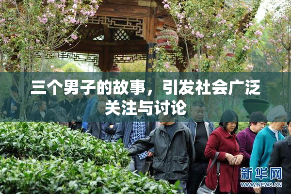 三个男子的故事，引发社会广泛关注与讨论