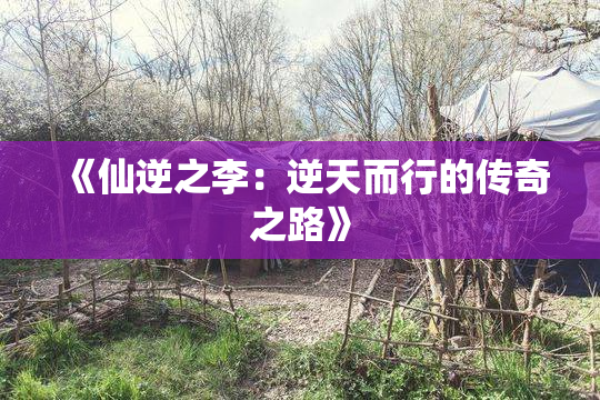 《仙逆之李：逆天而行的传奇之路》