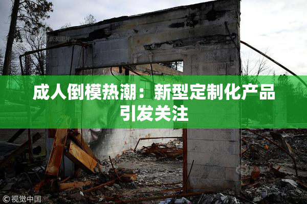 成人倒模热潮：新型定制化产品引发关注
