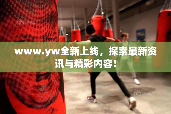 www.yw全新上线，探索最新资讯与精彩内容！