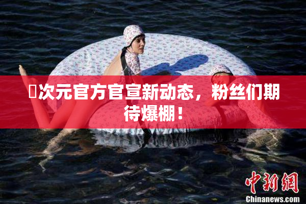 囧次元官方官宣新动态，粉丝们期待爆棚！