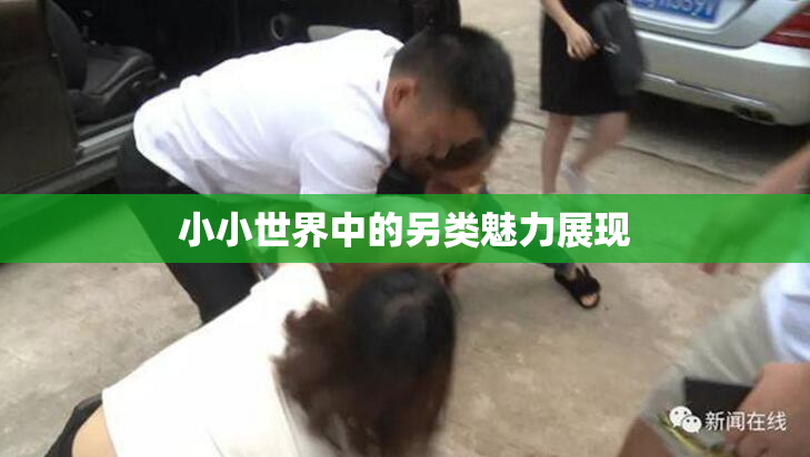 小小世界中的另类魅力展现