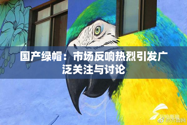 国产绿帽：市场反响热烈引发广泛关注与讨论