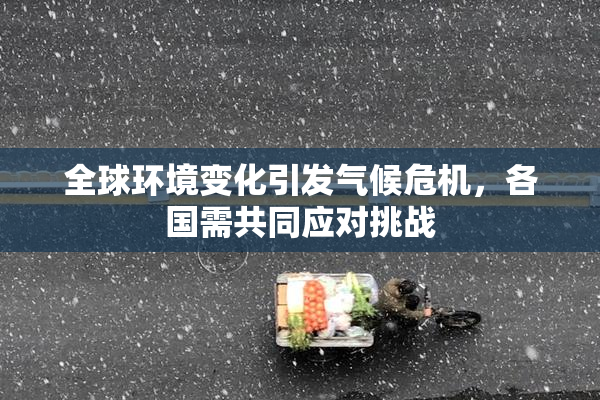 全球环境变化引发气候危机，各国需共同应对挑战