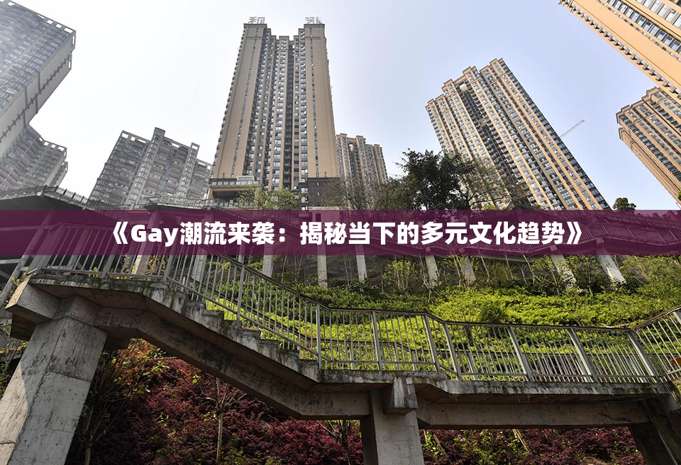 《Gay潮流来袭：揭秘当下的多元文化趋势》