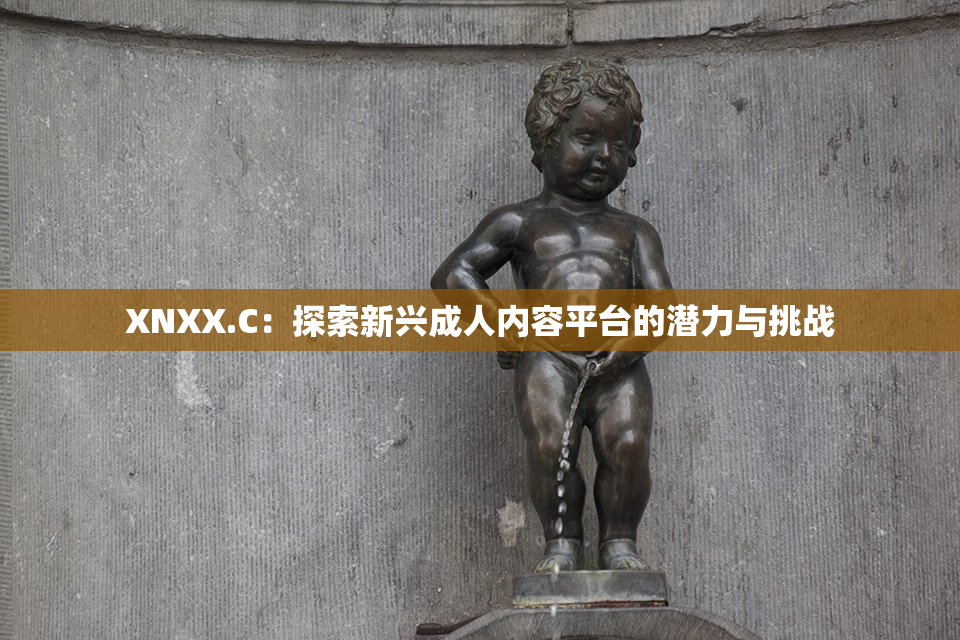 XNXX.C：探索新兴成人内容平台的潜力与挑战