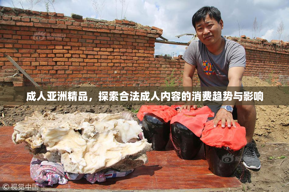 成人亚洲精品，探索合法成人内容的消费趋势与影响