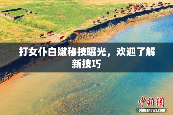 打女仆白嫩秘技曝光，欢迎了解新技巧