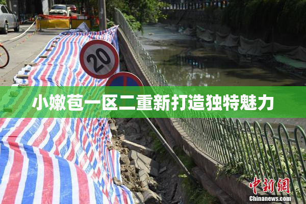 小嫩苞一区二重新打造独特魅力