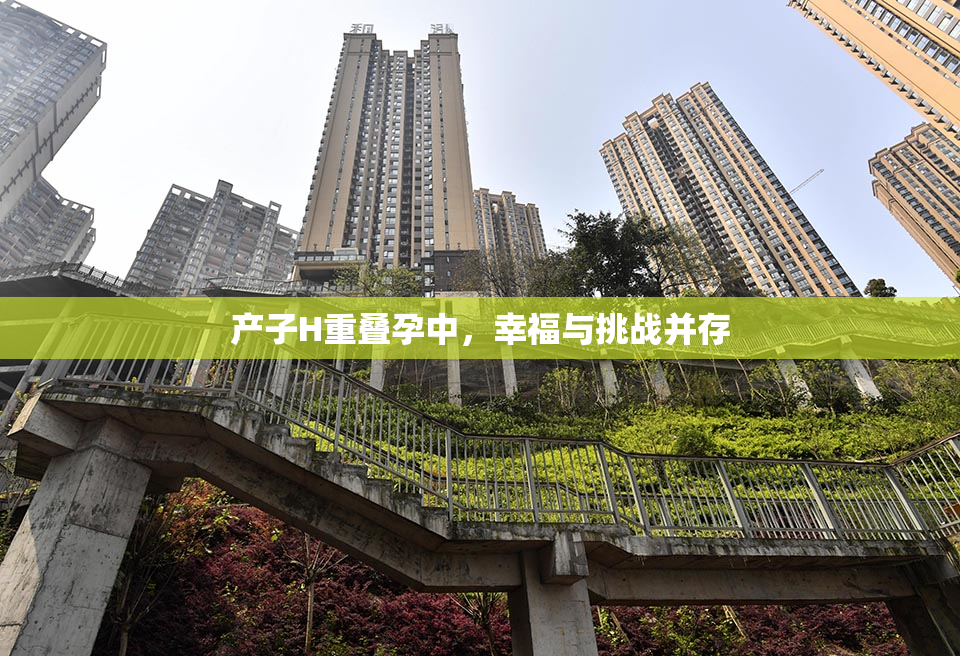 产子H重叠孕中，幸福与挑战并存