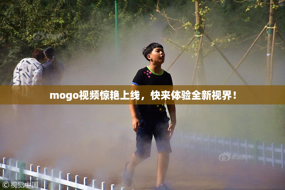 mogo视频惊艳上线，快来体验全新视界！
